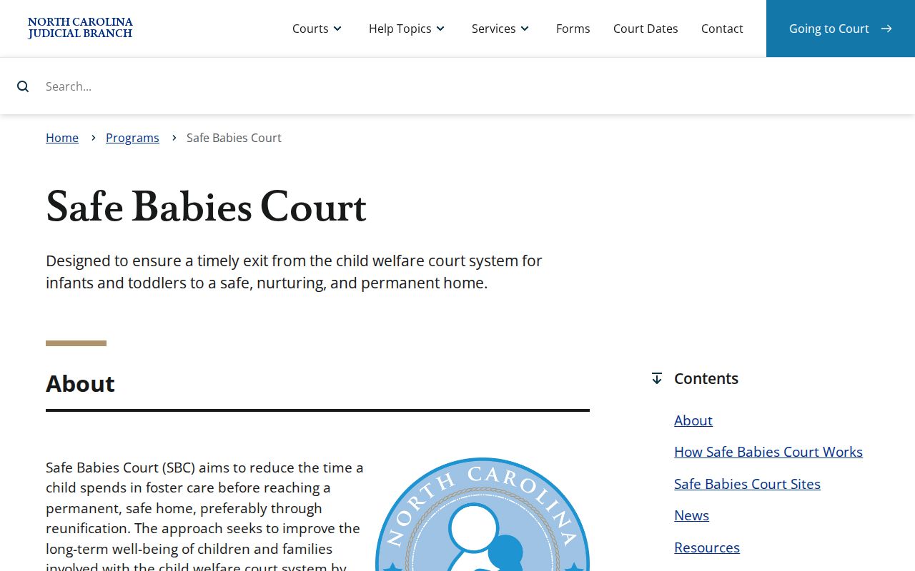 New Hanover County criminal court dockets Safe Babies Court program information